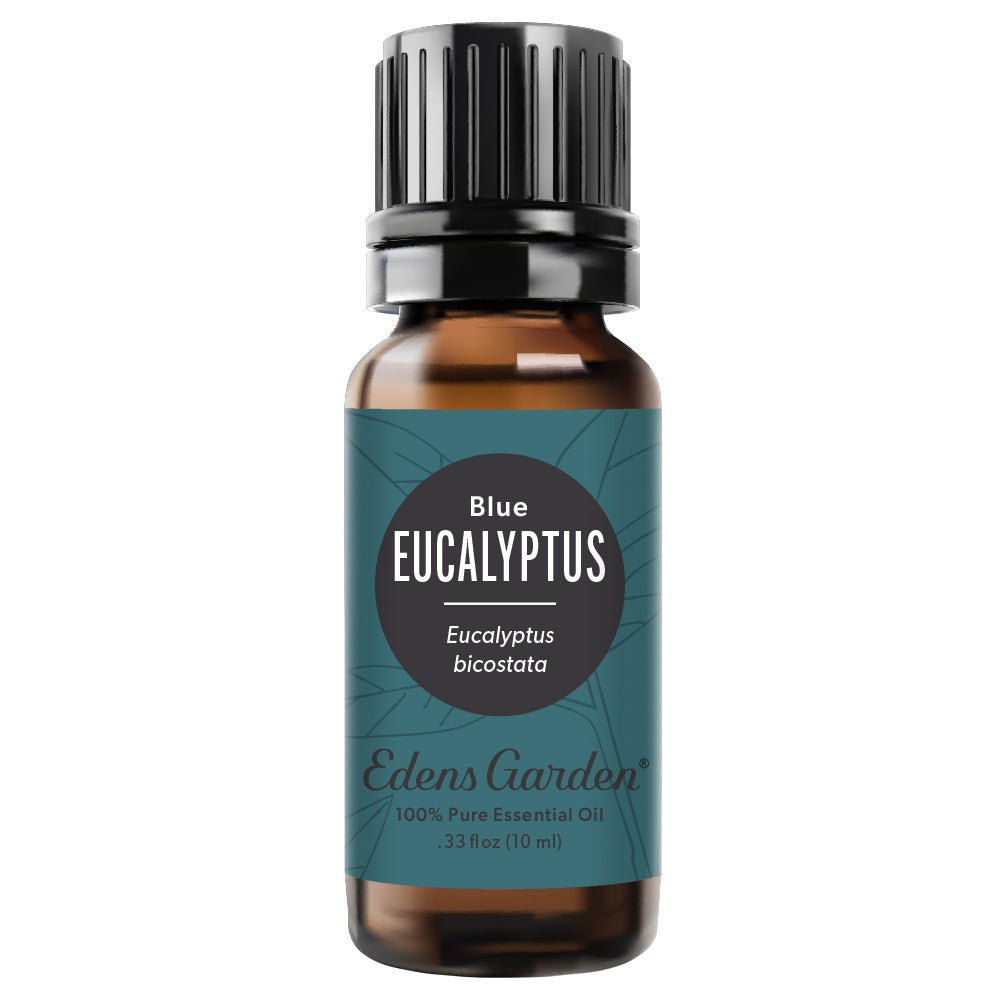 Edens Garden Eucalyptus Smithii Essential Oil, 100% Pure Therapeutic Grade (Congestion & Inflammation) 10 ml